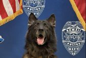 Justice for Police Dog Archer, RIP… whose handler needs to be held accountable