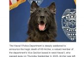 Justice for Police Dog Archer, RIP… whose handler needs to be held accountable