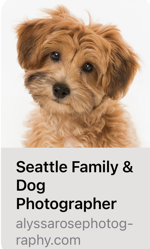 Holiday Market Nov. 13th and 14th